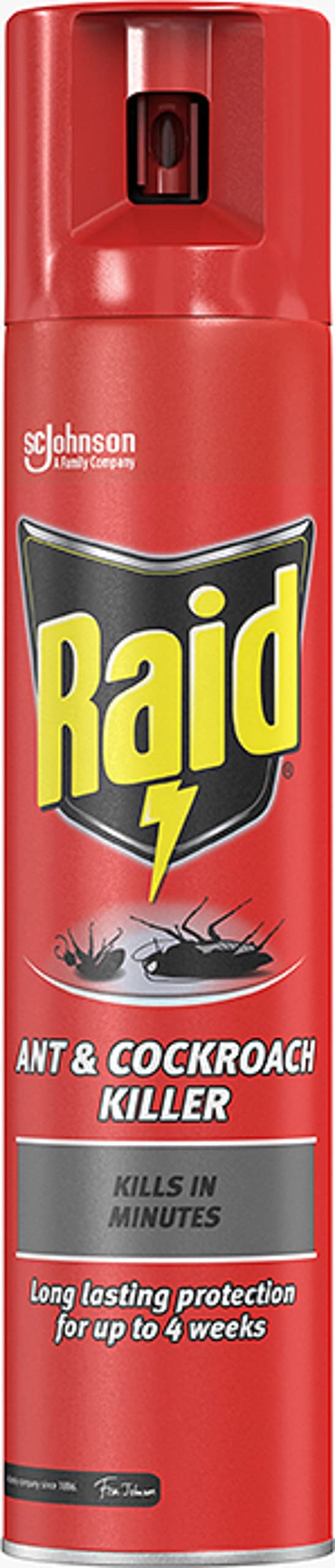 Raid Cockroach Banner Raid Ant&Cockroach Killer– HooGe Brands
