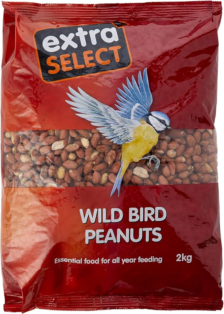 Extra Select Wild Bird Peanuts