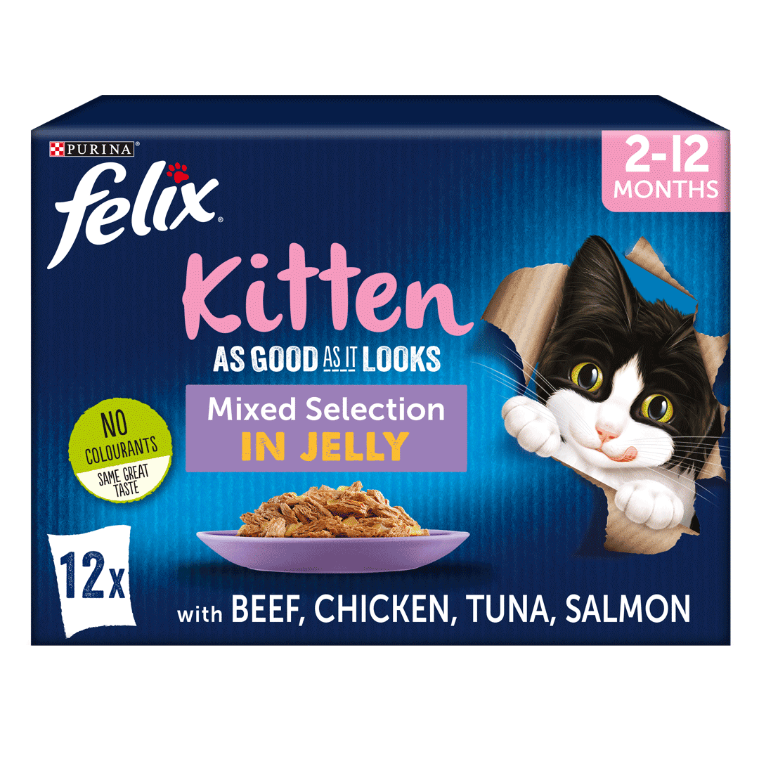 Felix Kitten Mixed Selection In Jelly