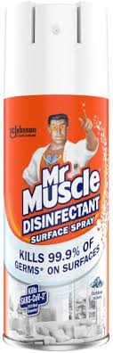 Mr Muscle Disinfectant Surface Spray Outdoor Scent