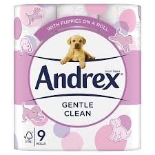 Andrex Gentle Clean 170Sc