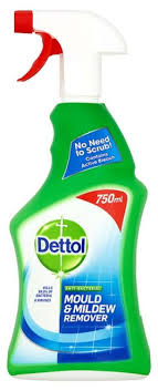 Dettol Mould & Mildew